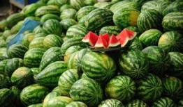 济南摩友圈吃瓜,吃瓜事件背后的真相揭秘