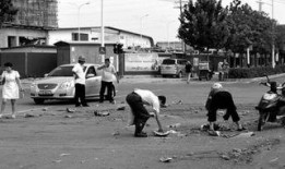 西瓜摔破就地吃瓜