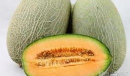 哈密瓜什么吃,探索无尽美味新境界