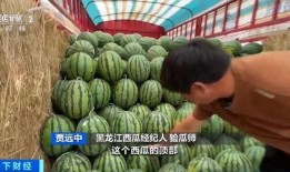 三厂吃瓜事件,揭秘背后真相与网络舆论风暴