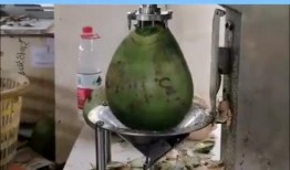 吃瓜机器,科技助力新时代“吃瓜群众”