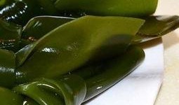 脑梗吃角瓜,角瓜助力健康恢复之旅