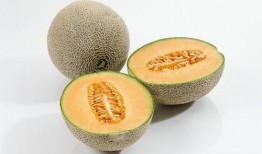 哈密瓜什么吃,探索无尽美味新境界