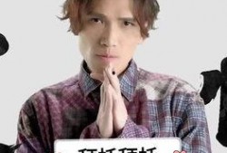 吃瓜鹅陈冠希,吃瓜鹅视角下的娱乐圈风云人物