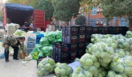 郑州昇达贸易吃瓜,揭秘瓜界新势力崛起之路