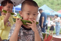 吃瓜上朝短剧,宫廷风云中的幽默喜剧