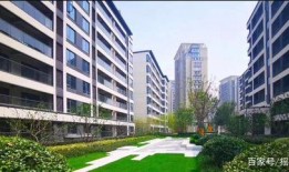 楼市吃瓜君,揭秘吃瓜君视角下的房地产市场