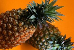 吃瓜大菠萝,揭秘瓜界奇才的传奇故事