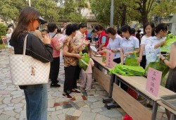 吃瓜社区一号,揭秘网络热点的幕后故事