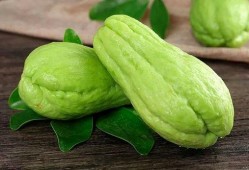 干果瓜种怎么吃,干果瓜种的多彩食法探索