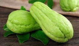 干果瓜种怎么吃,干果瓜种的多彩食法探索