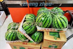 郑州初中吃瓜,校园生活新风尚