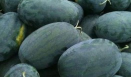 闻喜三姐吃瓜,揭秘农村生活的酸甜苦辣