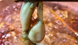 吃瓜金仔原创,娱乐圈幕后风云录