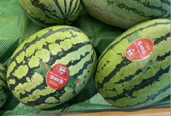 吃瓜新闻头像,揭秘吃瓜新闻背后的热点事件