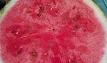 贵州医院吃瓜,揭秘背后的真相与反思