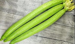 吃生的瓜长芽,探索生瓜长芽的奇妙之旅