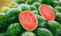 mathematica 吃瓜 吃瓜,瓜界新宠，智能吃瓜指南