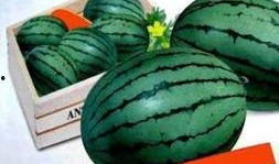 吃八棱瓜禁忌人群,这些人群需谨慎食用