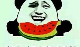 请你吃瓜的图片,揭秘网络流行语的趣味与内涵