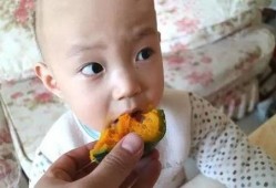 贝贝瓜宝宝吃,探索健康成长的甜蜜滋味