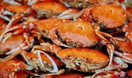 小螃蟹是吃瓜,小螃蟹的瓜田奇遇记