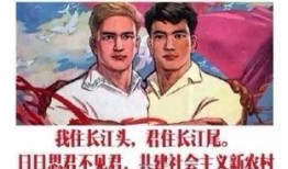 林狗吃瓜,揭秘娱乐圈幕后故事