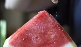 日本吃瓜撒盐,吃瓜撒盐的奇妙体验