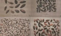 穿越古代吃瓜日常全集