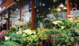 最新吃瓜事件花店,揭秘最新吃瓜事件背后的花店秘密