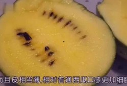 吃瓜就爱小西瓜,揭秘“吃瓜就爱小西瓜”的流行之谜