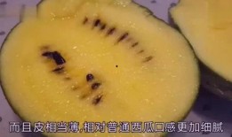吃瓜就爱小西瓜,揭秘“吃瓜就爱小西瓜”的流行之谜