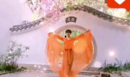 吃瓜网红ing,揭秘网络红人的瓜田生活