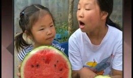 小妹儿吃瓜,揭秘娱乐圈那些不为人知的幕后故事