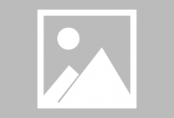 珊珊洋洋吃瓜,揭秘娱乐圈幕后故事