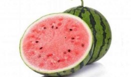 麒麟剧社吃瓜,揭秘吃瓜背后的精彩故事