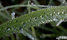 风渐渐吃瓜,揭秘娱乐圈的甜蜜风暴