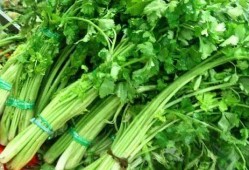 吃茄瓜可以吃芹菜吗牙疼,牙疼时的饮食搭配指南