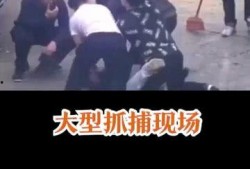 抓捕现场路人吃瓜视频,路人围观抓捕，吃瓜视频引发热议