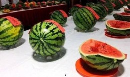 西瓜节吃瓜图片,共赴西瓜节盛宴