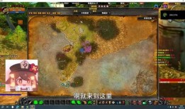 魔兽乌龟服吃瓜,揭秘吃瓜群众的狂欢盛宴