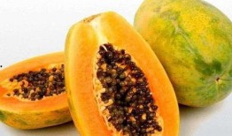 孕妇梦见挑瓜吃,孕妇梦见挑瓜吃的寓意与启示