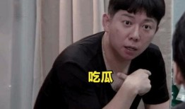 吃瓜歌手,娱乐界的“瓜田”奇才
