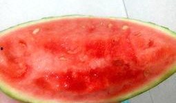 今天吃瓜吃的好爽你们呢,你呢？共享快乐时光