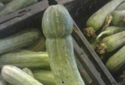 吃瓜为什么又叫杀瓜