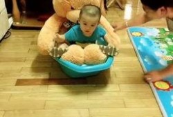 淘小子吃瓜,揭秘网络红人的瓜田奇遇