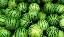 吃瓜群名称大全,趣味横生的社交圈命名艺术