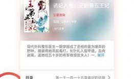 掌上吃瓜小说后续