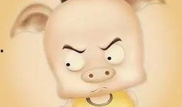 猪吃瓜头像,揭秘网络热门表情包背后的趣味故事