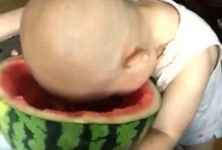 饭桶大头吃瓜,揭秘娱乐圈幕后真相